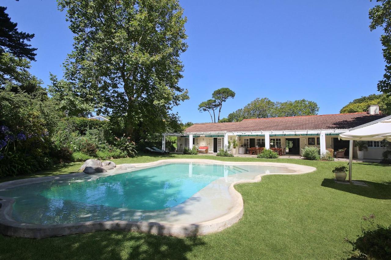 Beluga Of Constantia Guest House Cape Town Dış mekan fotoğraf