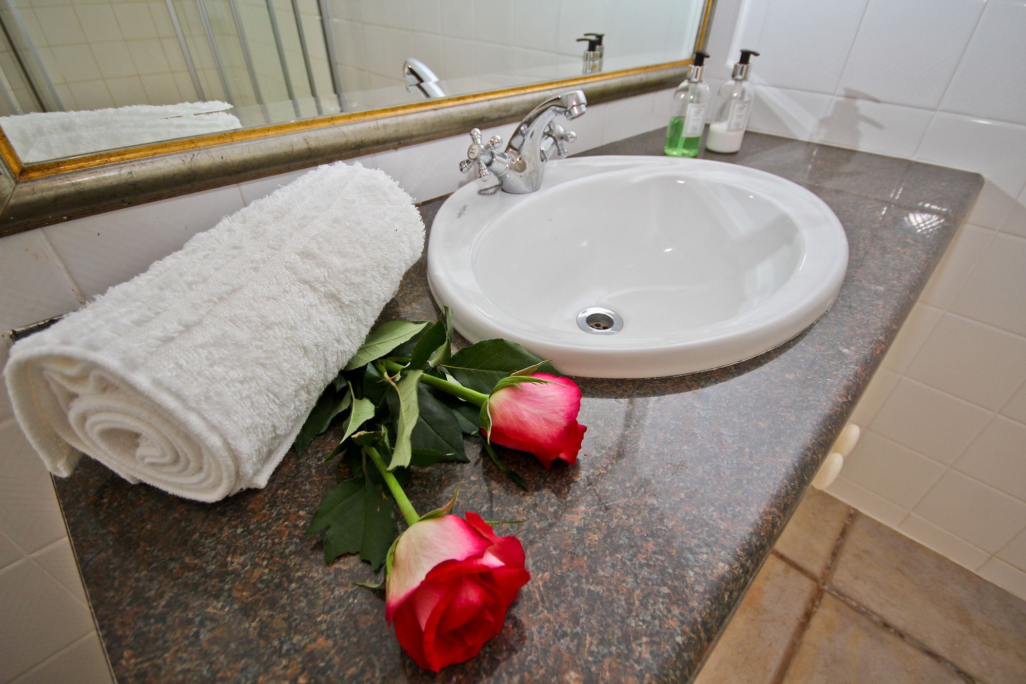 Beluga Of Constantia Guest House Cape Town Dış mekan fotoğraf