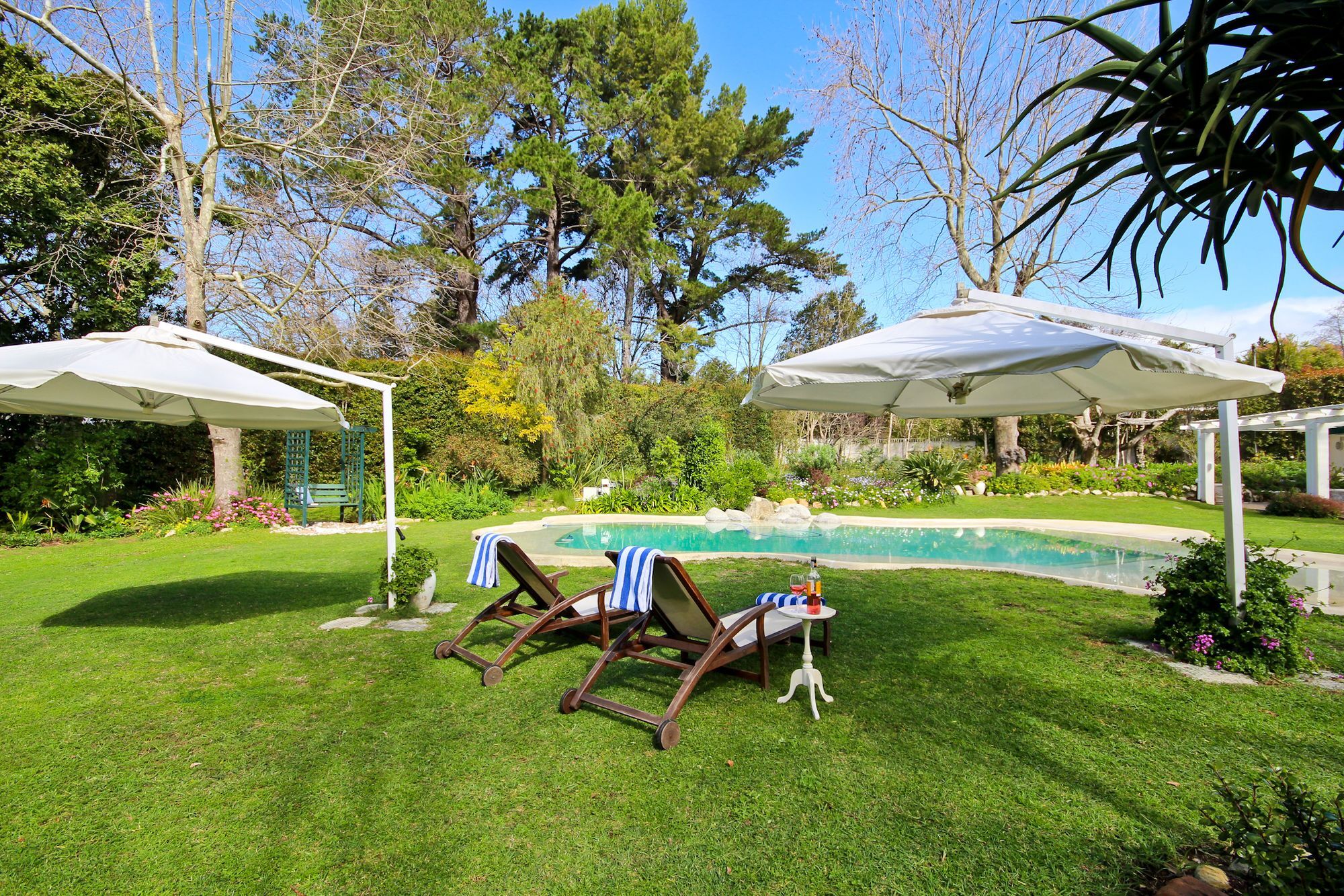 Beluga Of Constantia Guest House Cape Town Dış mekan fotoğraf