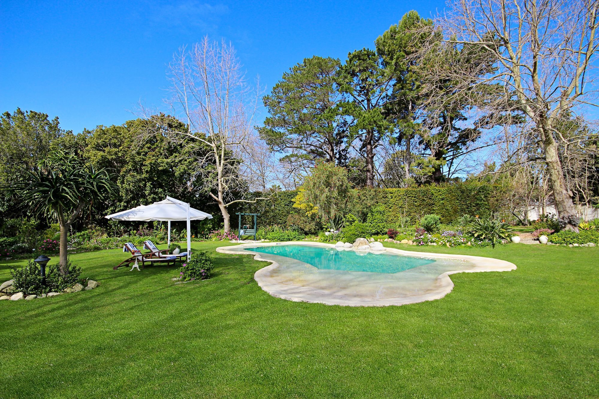 Beluga Of Constantia Guest House Cape Town Dış mekan fotoğraf